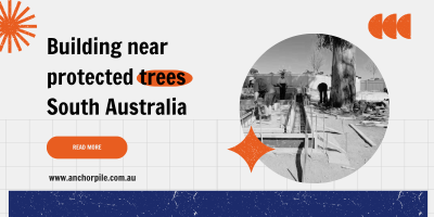 Building Near Protected Trees in SA: Your Compliance Guide